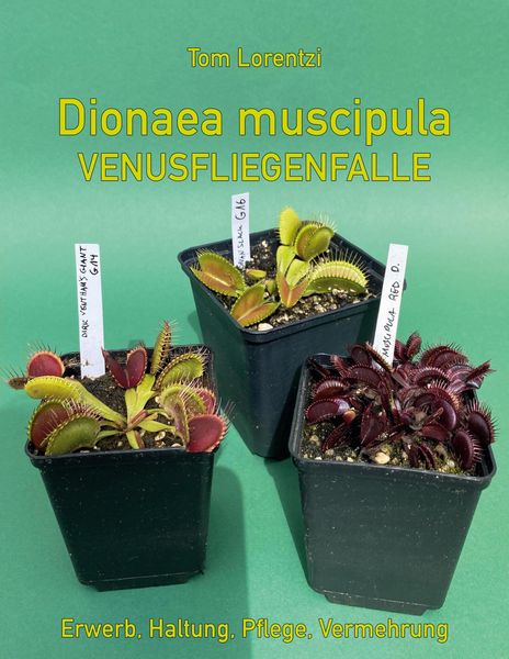Produktbild: Dionaea muscipula