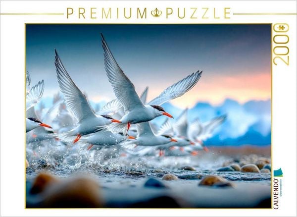 Produktbild: CALVENDO Puzzle Flug an die K&uuml;ste | 2000 Teile Lege-Gr&ouml;&szlig;e 90x67cm Foto-Puzzle f&uuml;r gl&uuml;ckliche Stunden