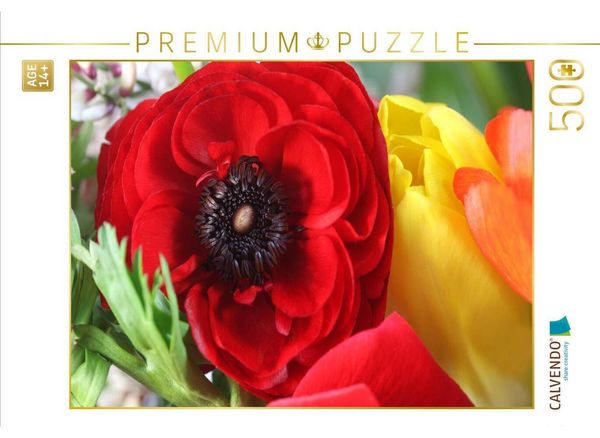 CALVENDO Puzzle Blutrote Ranunkel | 500 Teile Lege-Größe 48 × 36 cm Foto-Puzzle für Erwachsene