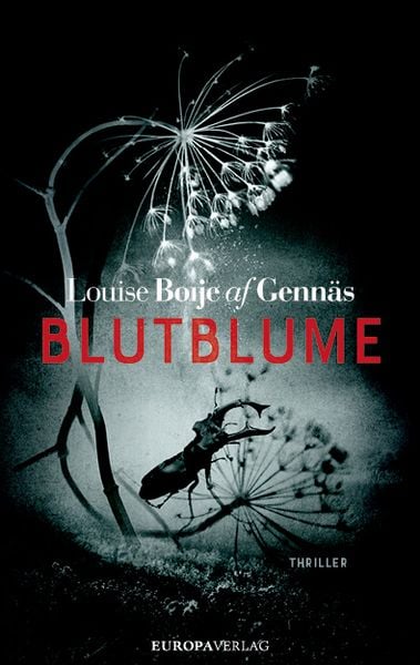 Produktbild: Blutblume