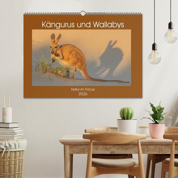 Produktbild: K&auml;ngururs und Wallabys (Wandkalender 2026 DIN A2 quer), CALVENDO Monatskalender