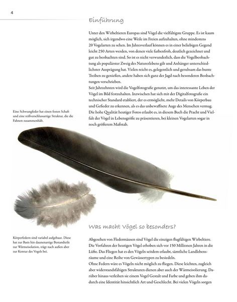 Produktbild: V&ouml;gel lebensgro&szlig;