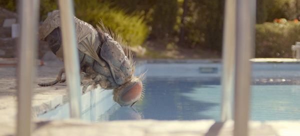 Produktbild: Eine Fliege kommt selten allein - Mediabook (Blu-ray) (+ DVD)