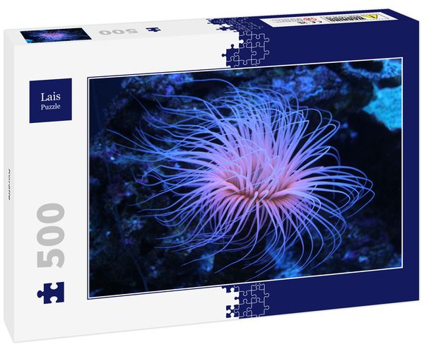 Produktbild: Lais Puzzle Koralle 500 Teile
