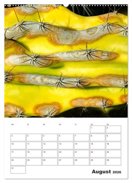 Produktbild: Dornige Sch&ouml;nheiten - Kakteen und Sukkulenten (Wandkalender 2026 DIN A2 hoch), CALVENDO Monatskalender