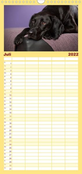 Produktbild: Familienplaner Bunte Pfoten (Wandkalender 2022 , 21 cm x 45 cm, hoch)