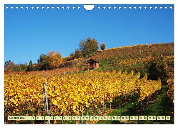 Produktbild: Weinregion Bergstra&szlig;e Burgen, Wein und Mandelbl&uuml;te (Wandkalender 2026 DIN A4 quer), CALVENDO Monatskalender