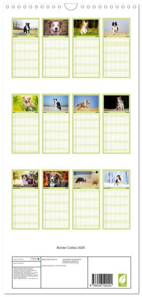 Produktbild: Familienplaner 2026 - Border Collies 2026 mit 5 Spalten (Wandkalender, 21 x 45 cm) CALVENDO