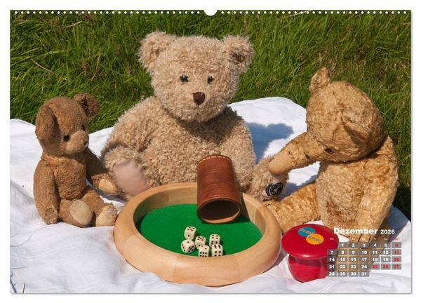 Produktbild: Geliebte B&auml;ren - Teddys (hochwertiger Premium Wandkalender 2026 DIN A2 quer), Kunstdruck in Hochglanz