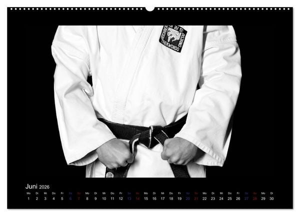 Produktbild: Traditionelles Taekwon-Do (hochwertiger Premium Wandkalender 2026 DIN A2 quer), Kunstdruck in Hochglanz