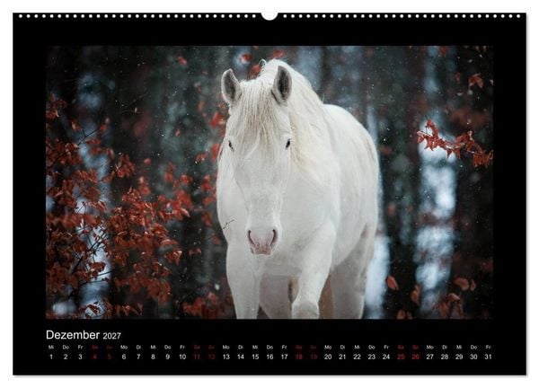 Produktbild: Die Faszinierende Welt der Pferde (hochwertiger Premium Wandkalender 2027 DIN A2 quer), Kunstdruck in Hochglanz