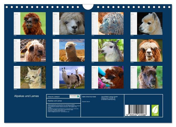 Produktbild: Alpakas und Lamas (Wandkalender 2026 DIN A4 quer), CALVENDO Monatskalender