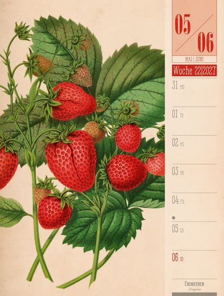 Produktbild: Culinarium Wochenplaner Kalender 2027 | K&uuml;che, Kr&auml;uter, Kurioses