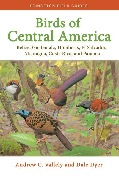 Produktbild: Birds of Central America