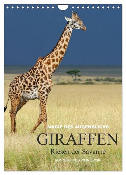 Produktbild: Magie des Augenblicks - Giraffen - Riesen der Savanne (Wandkalender 2026 DIN A4 hoch), CALVENDO Monatskalender