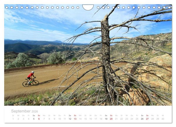 Produktbild: Colorado - H&ouml;henrausch mit dem Rennrad (Wandkalender 2026 DIN A4 quer), CALVENDO Monatskalender