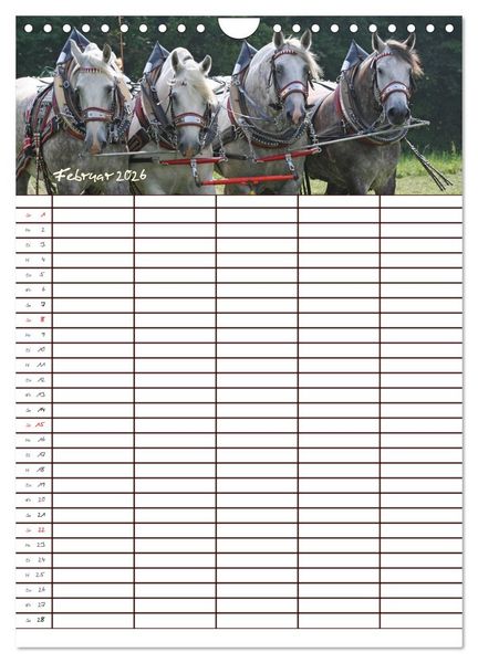 Produktbild: Der Kaltblut-Familienplaner (Wandkalender 2026 DIN A4 hoch), CALVENDO Monatskalender