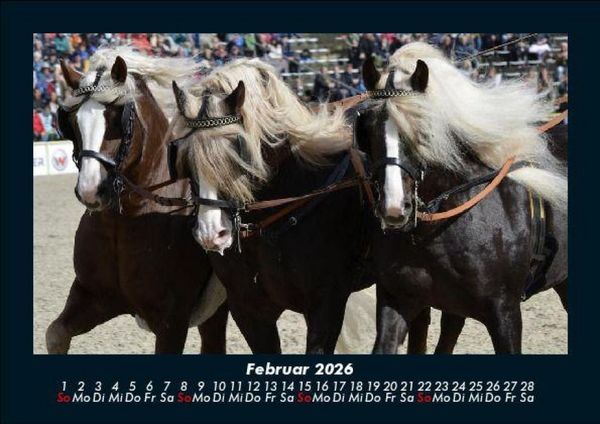 Produktbild: Die Welt der Pferde 2026 Fotokalender DIN A5