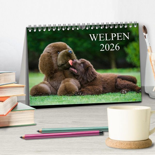 Produktbild: Welpen 2026 (Tischkalender 2026 DIN A5 quer), CALVENDO Monatskalender