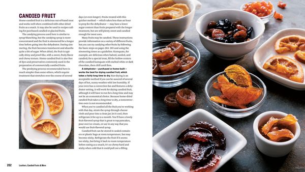 Produktbild: The Beginner's Guide to Dehydrating Food, 2nd Edition
