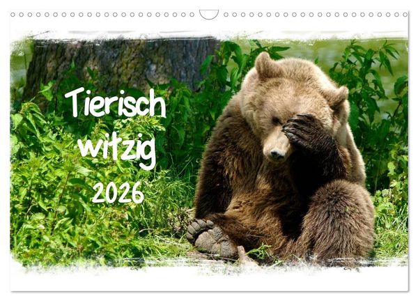 Produktbild: Tierisch witzig (Wandkalender 2026 DIN A3 quer), CALVENDO Monatskalender