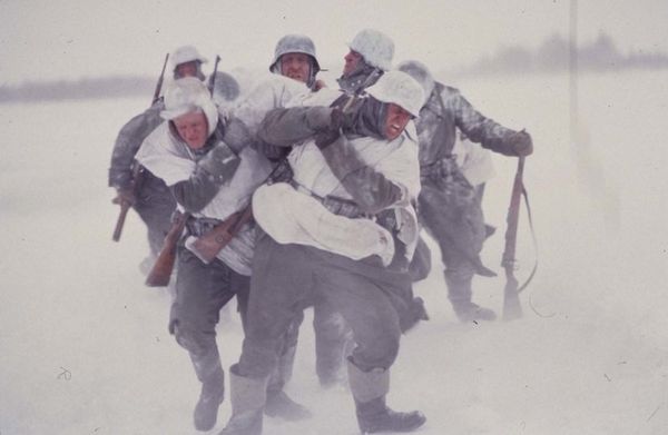 Produktbild: Stalingrad - Bis zum letzten Mann