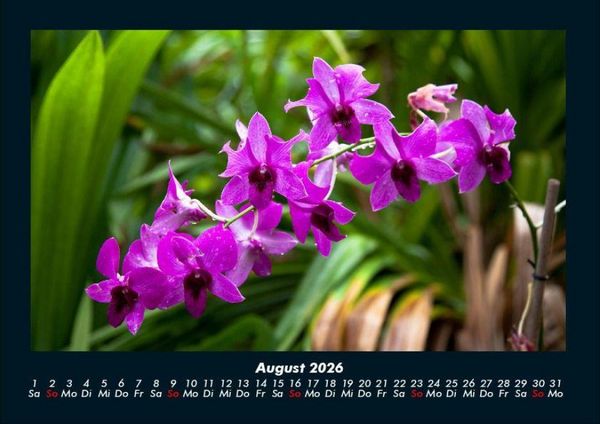 Produktbild: Natur 2026 Fotokalender DIN A4