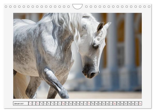 Produktbild: Spanische Eleganz. Edle Schimmel auf dem Gest&uuml;t (Wandkalender 2027 DIN A4 quer), CALVENDO Monatskalender