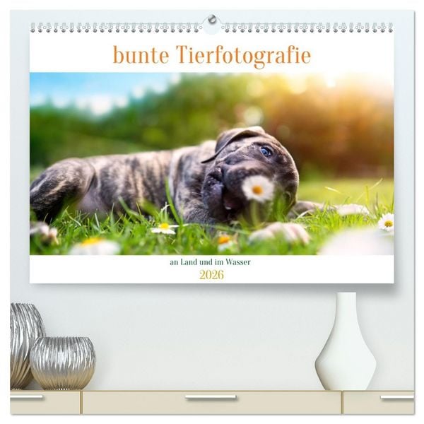 Produktbild: bunte Tierfotografie an Land und im Wasser (hochwertiger Premium Wandkalender 2026 DIN A2 quer), Kunstdruck in Hochglanz