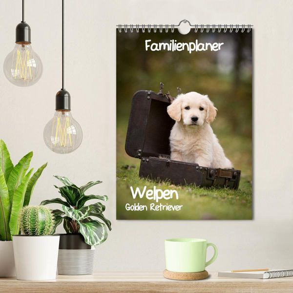 Produktbild: Familienplaner: Golden Retriever Welpen (Wandkalender 2026 DIN A4 hoch), CALVENDO Monatskalender