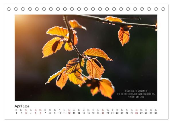 Produktbild: Bl&auml;tterreigen (Tischkalender 2026 DIN A5 quer), CALVENDO Monatskalender