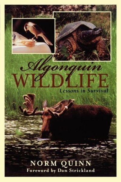 Produktbild: Algonquin Wildlife