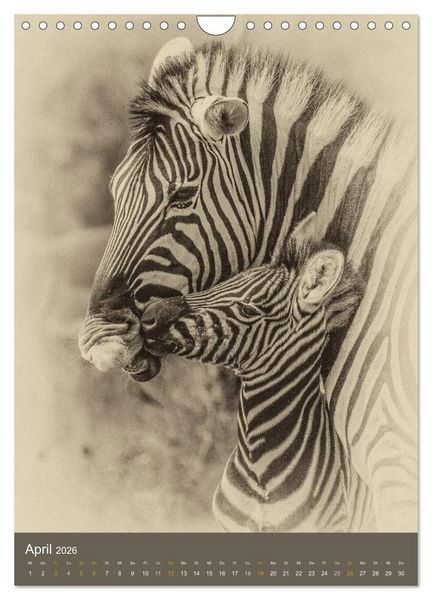 Produktbild: Afrikas Tierwelt - Sepia-Art (Wandkalender 2026 DIN A4 hoch), CALVENDO Monatskalender