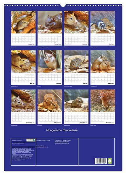 Produktbild: Mongolische Rennm&auml;use (Wandkalender 2026 DIN A2 hoch), CALVENDO Monatskalender