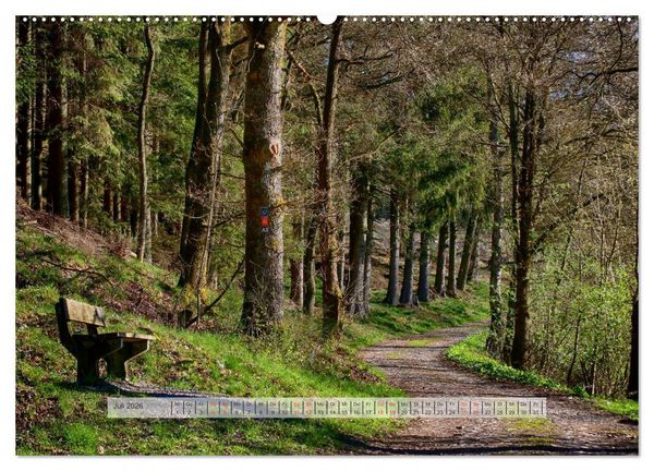 Produktbild: Wald im Bergischen Land 2026 (hochwertiger Premium Wandkalender 2026 DIN A2 quer), Kunstdruck in Hochglanz