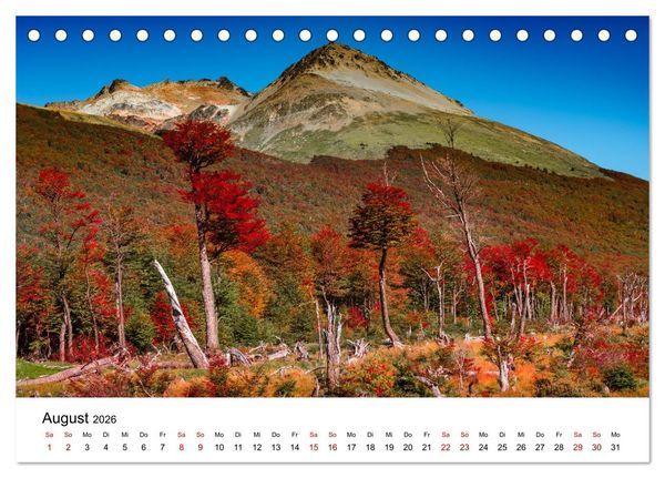 Produktbild: W&auml;lder: die letzte Zuflucht f&uuml;r die Wildnis (Tischkalender 2026 DIN A5 quer), CALVENDO Monatskalender