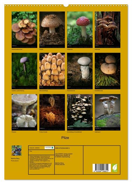 Produktbild: Pilze (hochwertiger Premium Wandkalender 2027 DIN A2 hoch), Kunstdruck in Hochglanz