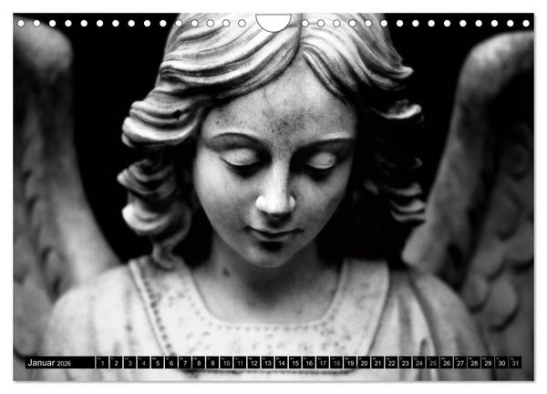 Produktbild: Engel-Tr&auml;ume (Wandkalender 2026 DIN A4 quer), CALVENDO Monatskalender