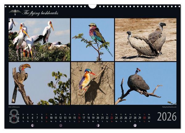 Produktbild: Botswana Blickwinkel 2026 (Wandkalender 2026 DIN A3 quer), CALVENDO Monatskalender