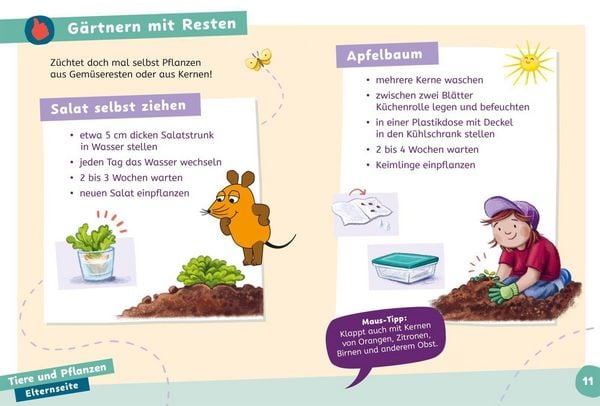 Produktbild: Frag doch mal ... die Maus: Wissen zum Schulstart: Natur und Umwelt