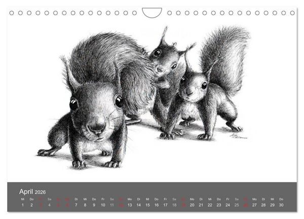 Produktbild: owls & friends 2026 (Wandkalender 2026 DIN A4 quer), CALVENDO Monatskalender