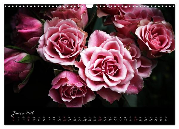 Produktbild: Florales Sonett - Visuelle Musik der Blumen (Wandkalender 2026 DIN A3 quer), CALVENDO Monatskalender