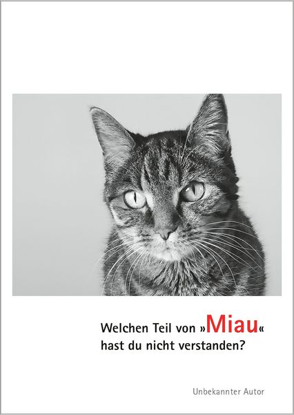 Produktbild: Postkarten Katzen Miau (VE10)