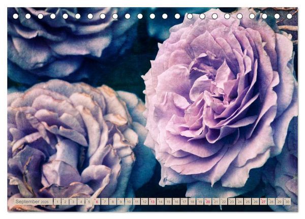 Produktbild: Rosenduft Shabby Chic Style (Tischkalender 2026 DIN A5 quer), CALVENDO Monatskalender