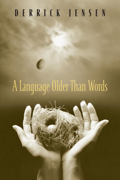 Produktbild: A Language Older Than Words