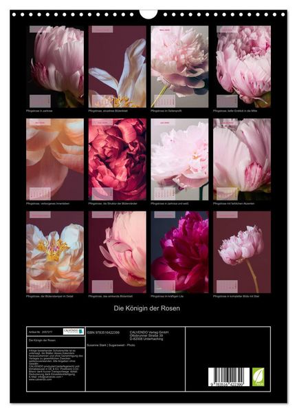 Produktbild: Die K&ouml;nigin der Rosen (Wandkalender 2026 DIN A3 hoch), CALVENDO Monatskalender
