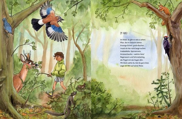 Produktbild: Erlebe den Wald mit allen Sinnen