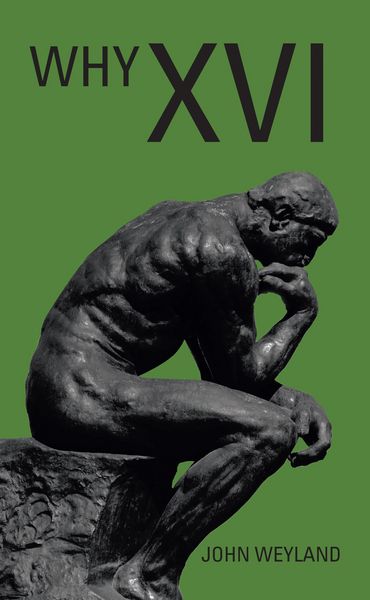 Produktbild: Why Xvi