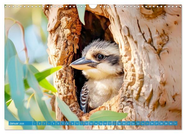 Produktbild: Der Kookaburra - Im australischen Busch mit dem lachenden Hans (Wandkalender 2026 DIN A3 quer), CALVENDO Monatskalender