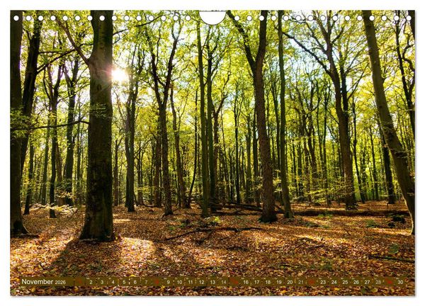 Produktbild: Bezauberndes Ostfriesland (Wandkalender 2026 DIN A4 quer), CALVENDO Monatskalender